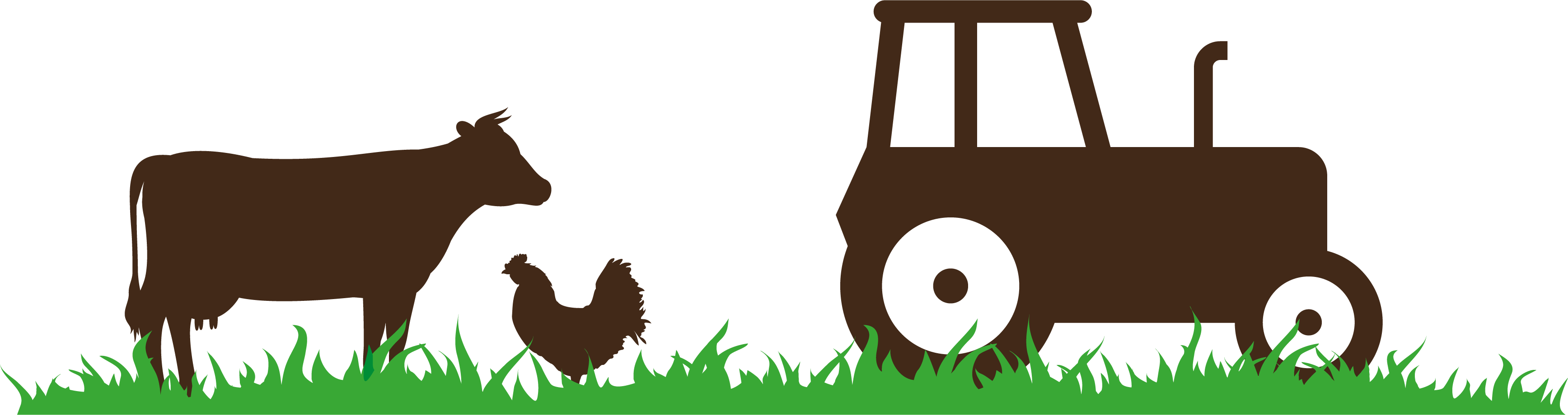 Kuh, Huhn und Traktor auf der Wiese